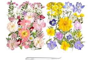 ZQMINO 65Pcs Pressed Flowers for Resin Real Bulk Dried Flowers Dry Flowers Leaves for Resin Mold Scrapbooking DIY Art Crafts, Epoxy Resin Jewelry Molds, Candle, Soap Making (Pink, Purple, Yellow)