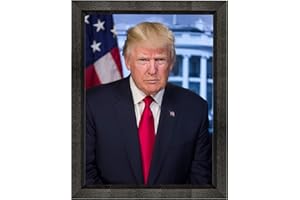 FRAME A PATENT Donald Trump Photograph in a Black Beveled Frame - Historical Artwork from 2016 - US President Portrait - (8" x 10") - Gloss