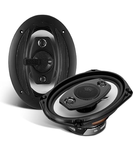 JBL GX963 300W 6