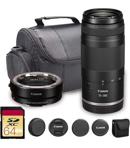 Amazon.com : Canon EF 75-300mm f/4-5.6 III Lens | Compact
