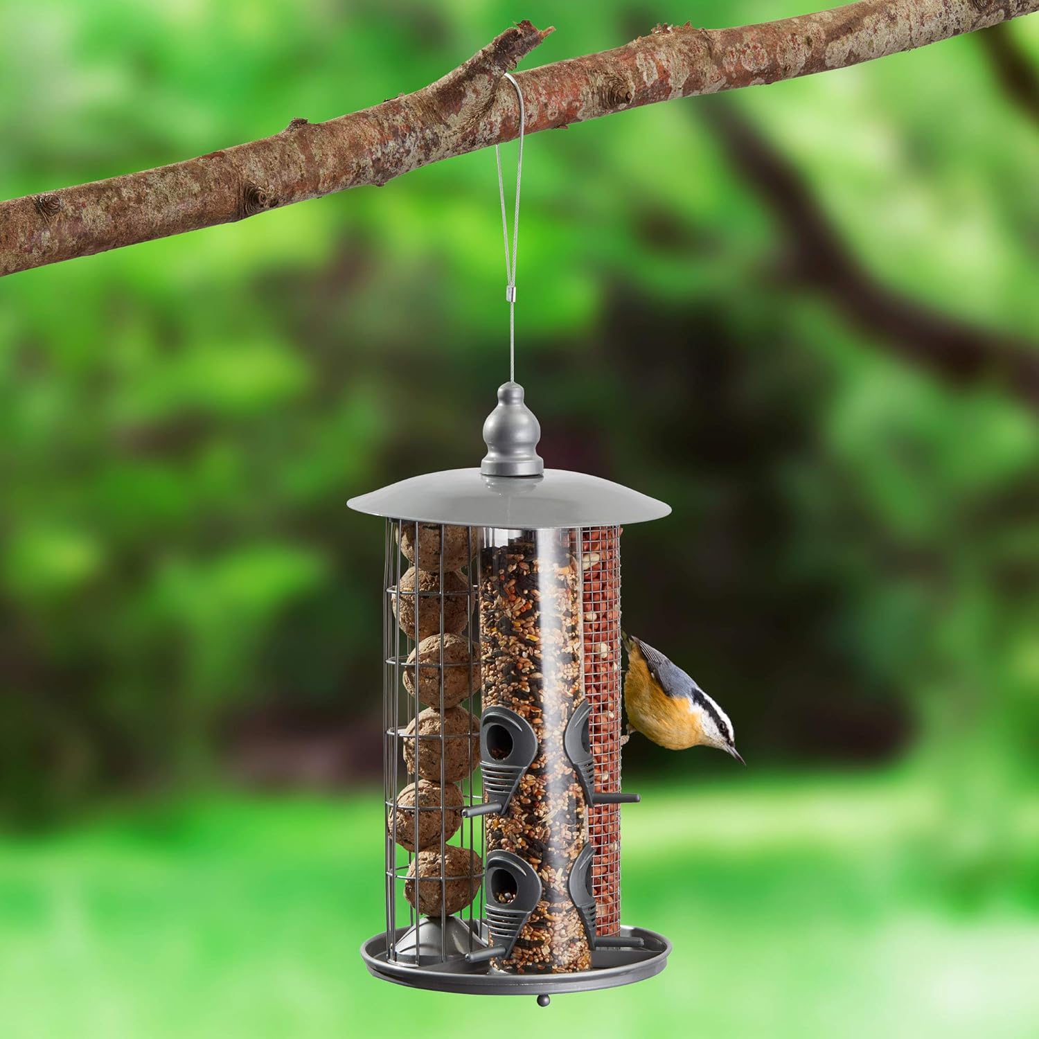 Happy Beaks Kingfisher Bird Feeder Wild Bird Feeding Station Suet