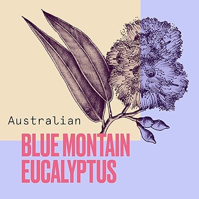 Buy Aussie Mega Shampoo And Conditioner Set With A Clarifying Shampoo 3 Minute Miracle Deep Conditioner And Hair Oil For Damaged Hair With Australian Blue Mountain Eucalyptus Extract Cruelty Free Online In