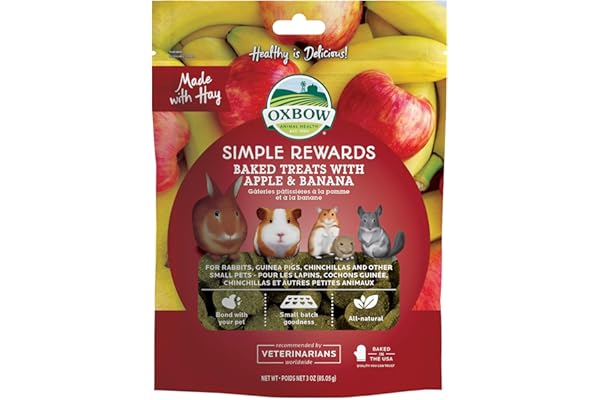 Oxbow Simple Rewards Guinea Pig & Rabbit Treats, Apple Banana, Baked, 3 oz | Timothy Hay, Bunny Treats, Hamster Treats, Chinchilla, Guinea Pig Snack, Rabbit Enrichment, Rabbit Accessories, Essentials