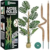 2 Pack 63'' Bendable Moss Pole Monstera Plant Support for Large Climbing Indoor Plants - Stakes for Potted Climbers - Tall Sticks Indoor Trellis for Houseplants - Accessories for Monstera Pot