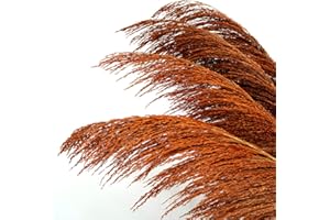 PENEPICO Burnt Orange Pampas Grass Tall, 4pcs 43.3" Natural Brown Pampas, Pompas Floral with Dried Flower Aroma, Elegant Large Dried Plant for Living Room Wedding Decor, Brown Orange Flowers