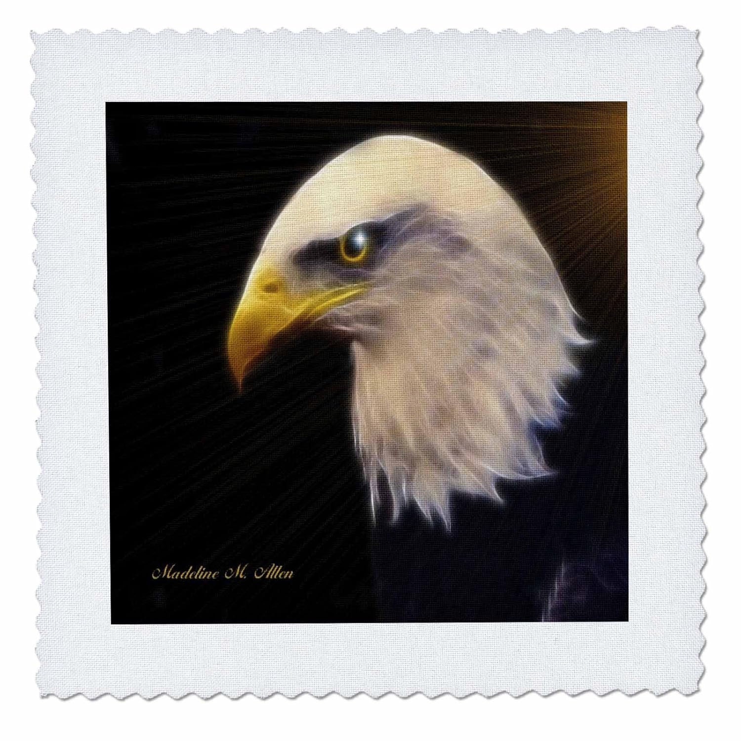 Amazoncom 3drose American Bald Eagle A Quilt Square