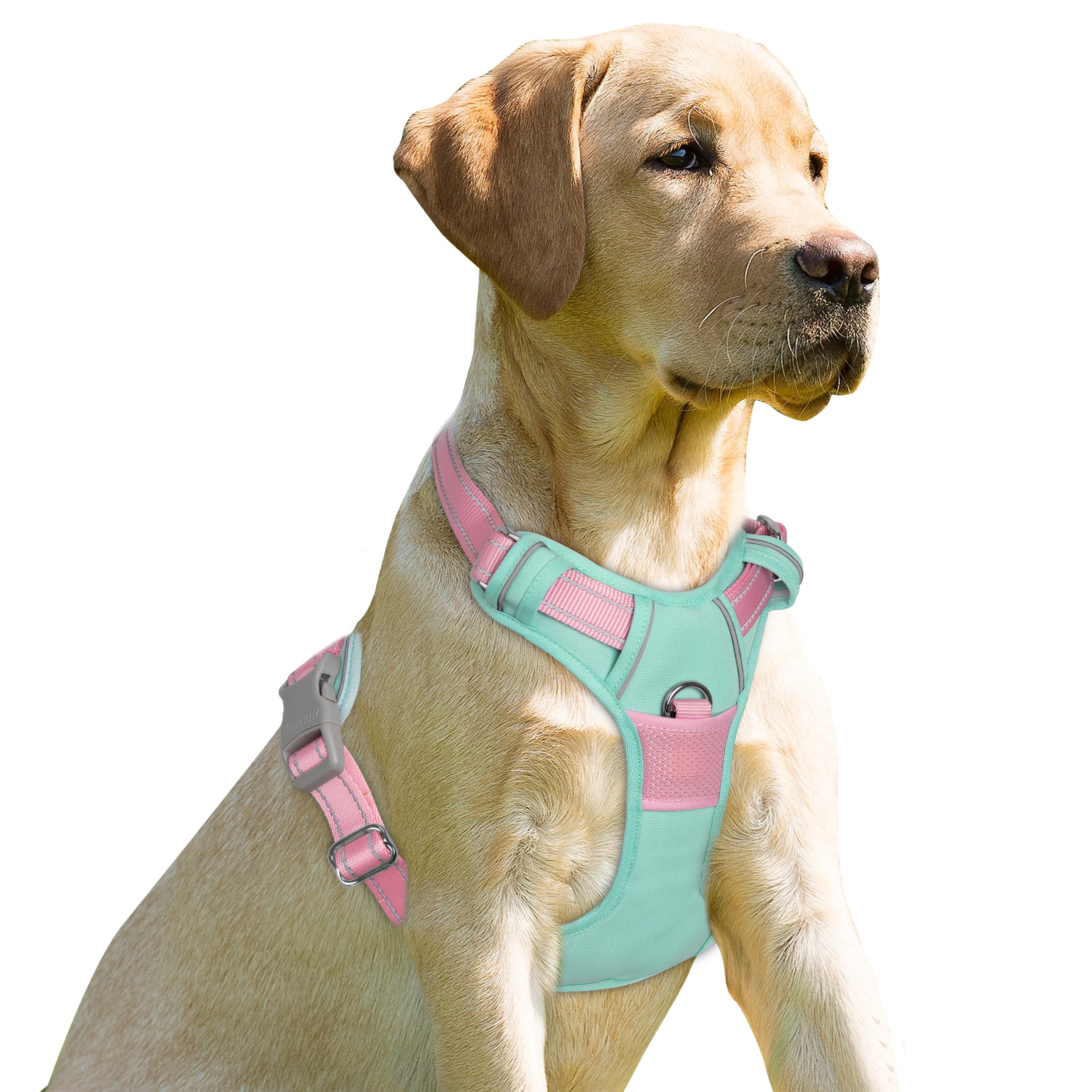 BARKBAY No Pull Dog Harness Front Clip Heavy Duty Reflective Easy Control Handle for Large Dog Walking(Cool Mint & Baby Pink,S) Image