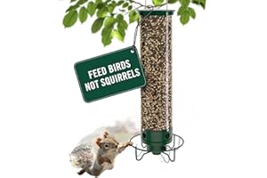 Droll Yankees Squirrel Proof Bird Feeders for Outdoors - YF-M - Flipper, Collapsible Perches, 5-Pound Seed Capacity, Green