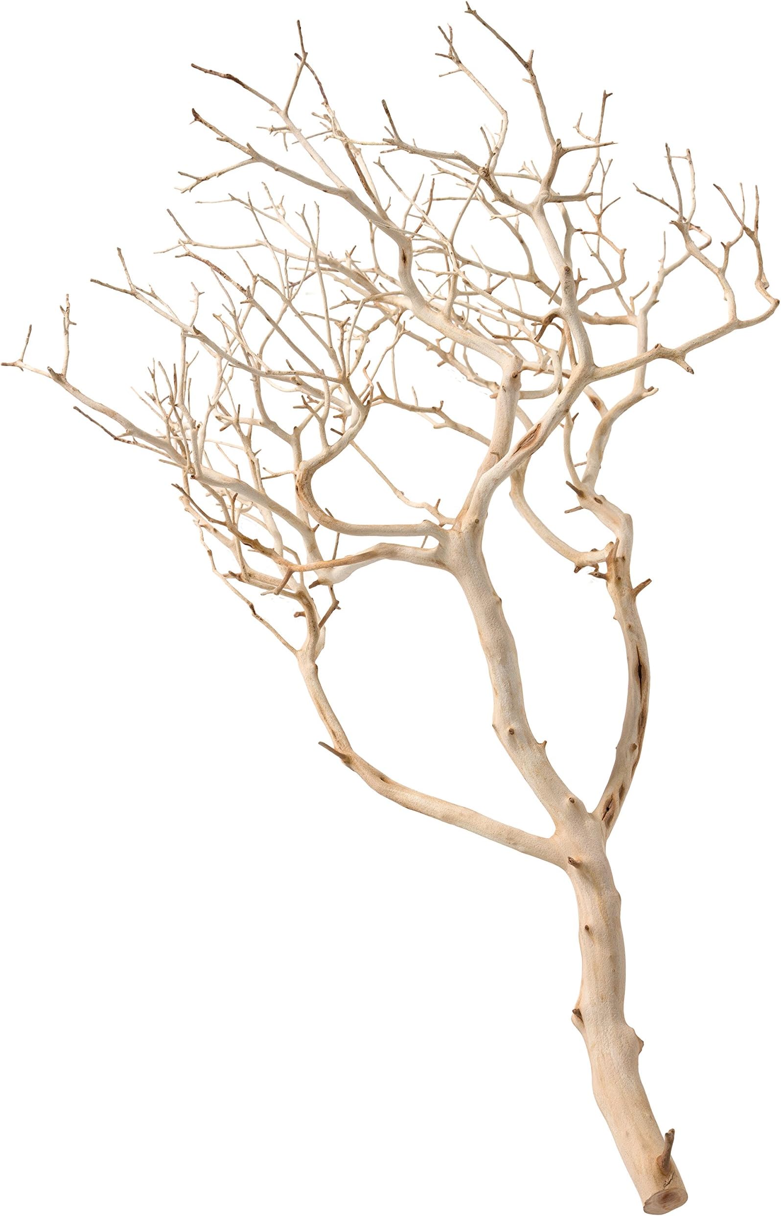 Pisces 10" Manzanita Sandblasted Branchy, Varies