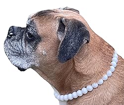 Dog Necklace