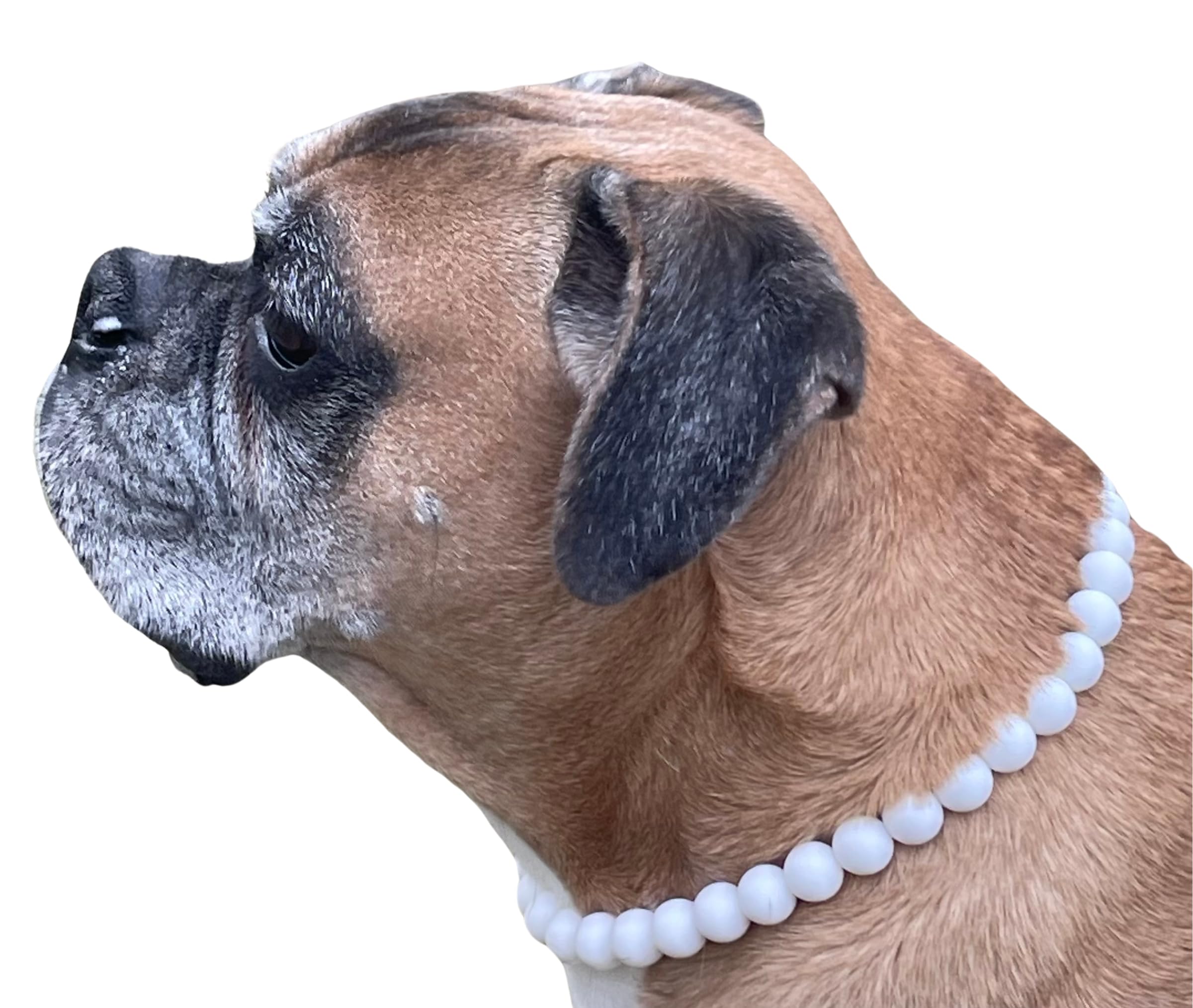 Dog Necklace