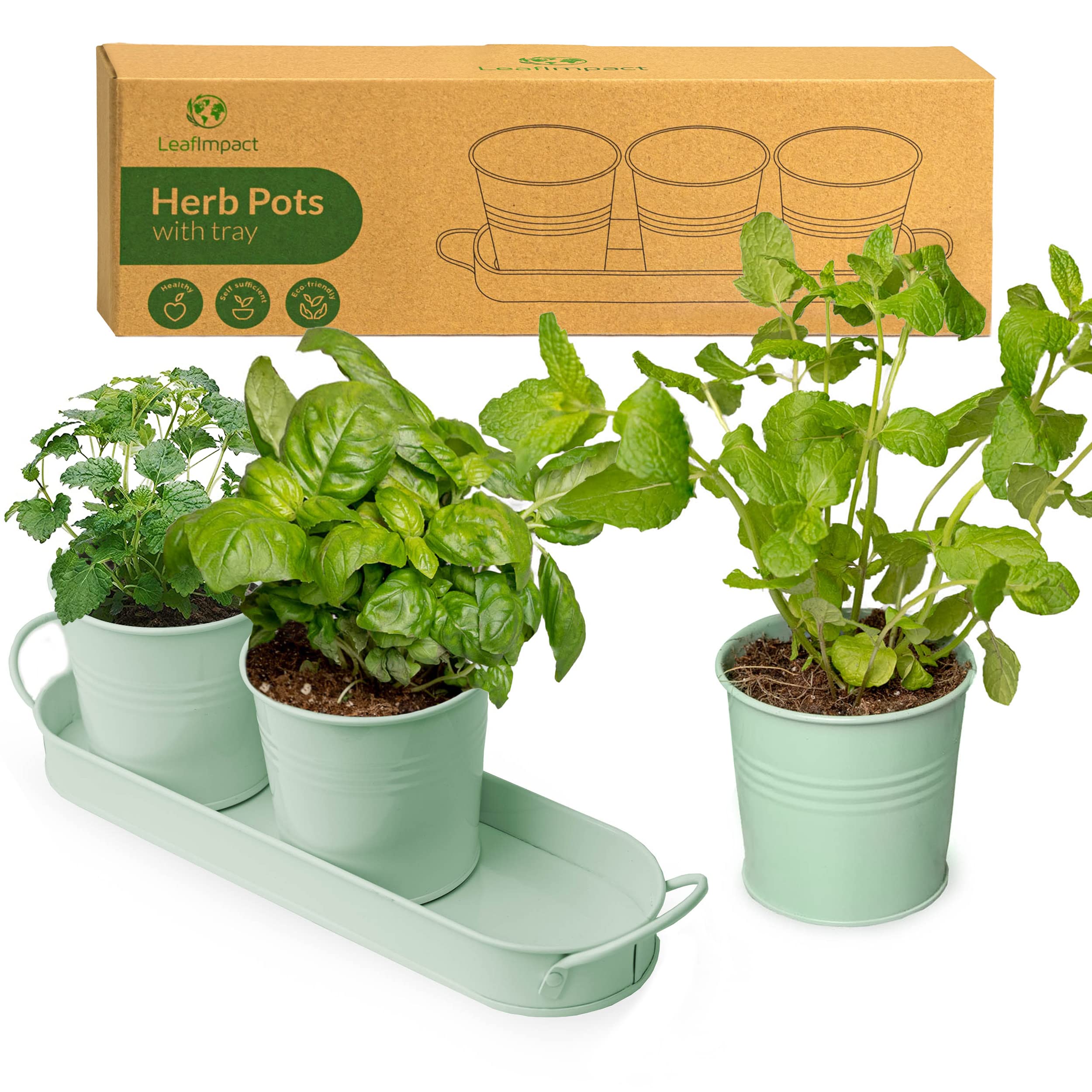 Herb Planter Indoor | Grow Fresh Herbs at Home | Herb Pots for Kitchen & Windowsill | Kitchen Herb Garden | Indoor Herb Planter | Includes Drain Hole | Garden Pots for Basil, Mint, Parsley and More