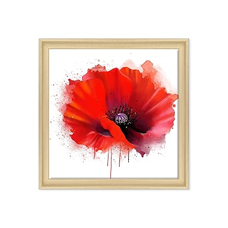 Conkrea Cadre Fleurs Coquelicots Dessin Illustration