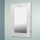 Fox Hollow Furnishings 14” x 24” Mirrored Medicine