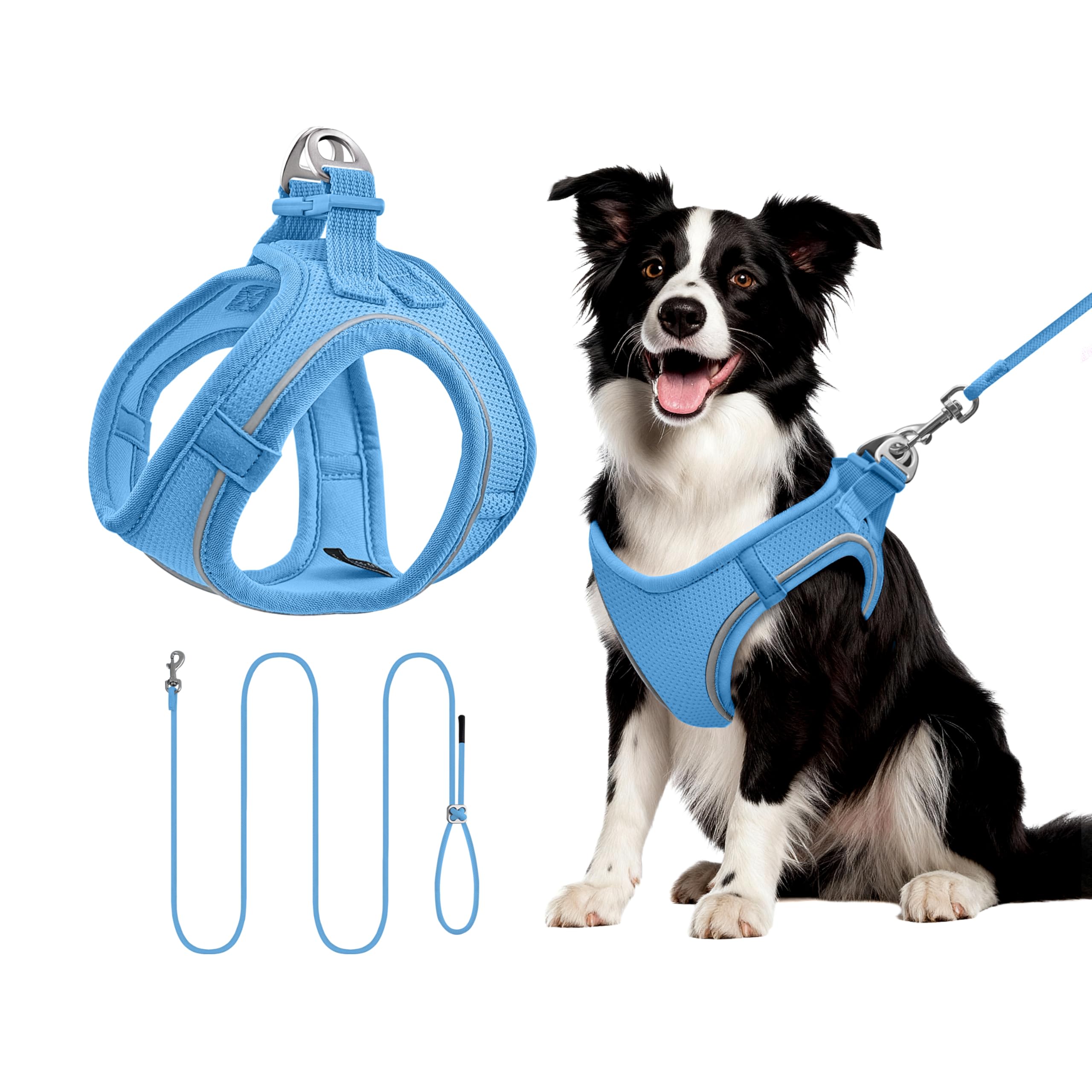 Qianruida Dog Cat Harness with Lead, Reflective Adjustable Harness Breathable Comfort Soft Mesh for Small Medium Dogs, Anti-Pull Padded Vest for Walking Running Blue L