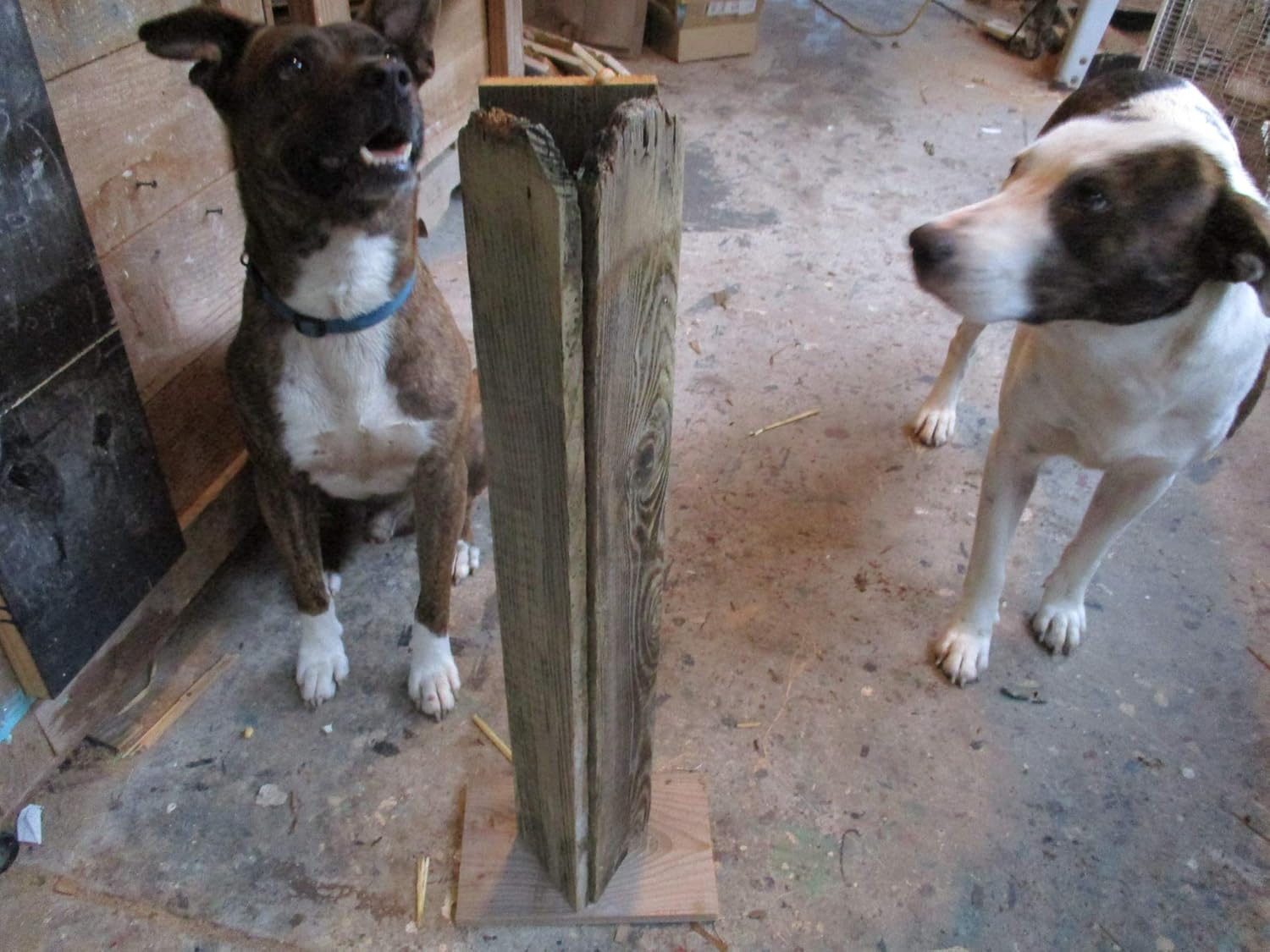 Wood DOG PEE POST weathered wood.3 sides.27 in tall
