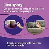 Feliway Classic Cat Calming Odourless Spray 60ml - Veterinary Suggested view 7