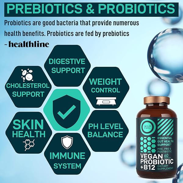 VEGAN PROBIOTIC PLUS B12-22 BILLION CFU SYNBIOTICS PREBIOTICS AND PROBIOTICS FOR DIGESTIVE HEALTH, IBS, MOOD SUPPORT – B12 WITH FOS PRE PRO POST BIOTICS FOR WOMEN & MEN – 60 GLUTEN-FREE CAPSULES
