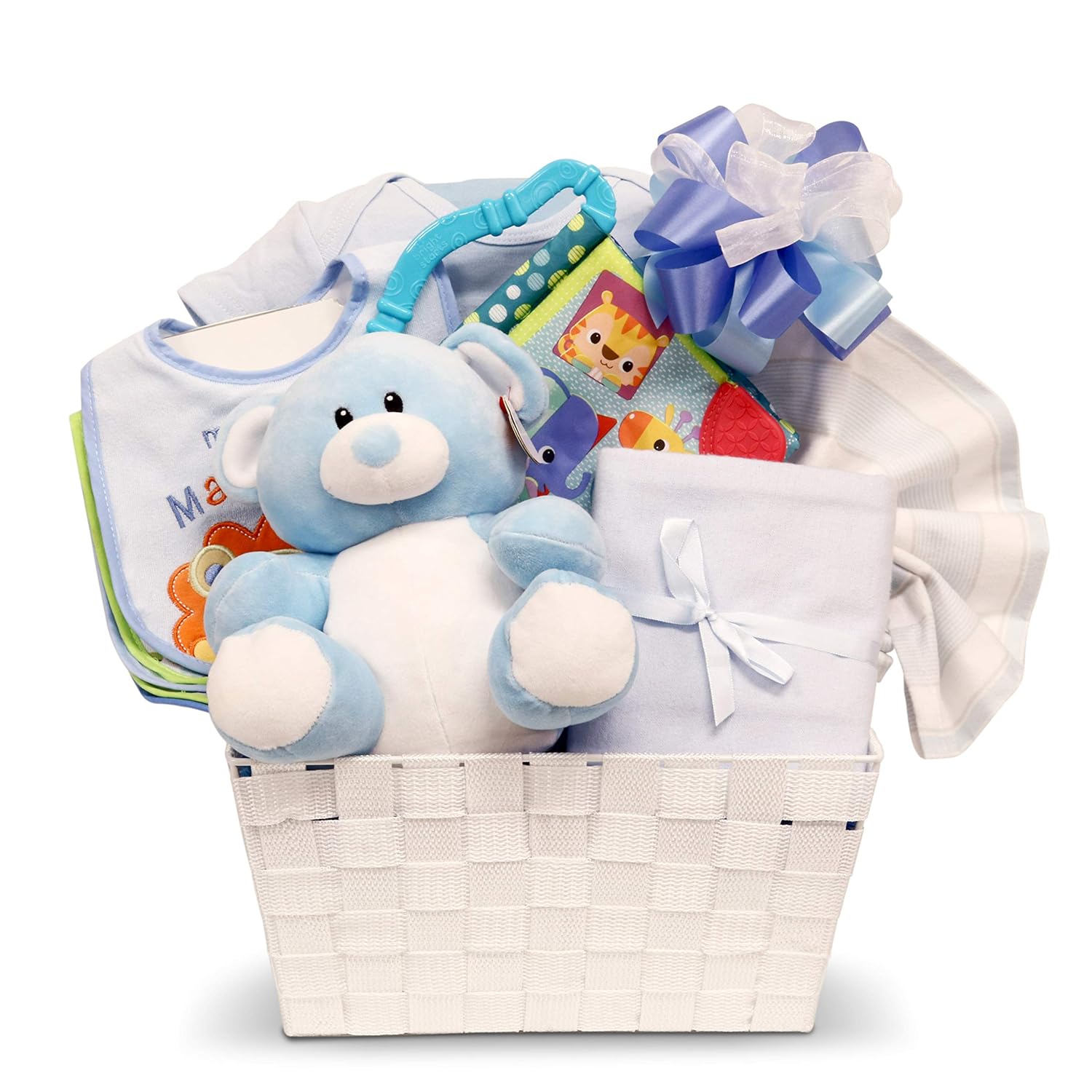 newborn baby in basket