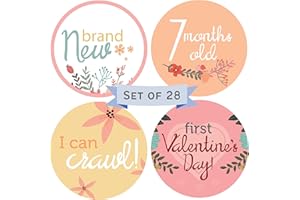 RubyRoo Baby Milestone Stickers - Baby Month Stickers for Baby Girl - 28 Pack - Includes 12 Monthly,1st Year Milestones & First Holidays - Perfect Baby Shower & Newborn Birthday Gift (Floral)