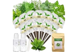 MAJERO Gourmet Herb Seed Pod Kit for AeroGarden, idoo, Ahopegarden, MUFGA Hydroponics Garden with Basil, Parsley, Thyme, Mint, Cilantro, Dill, Oregano - Compatible with All Hydroponics (12-Pod)