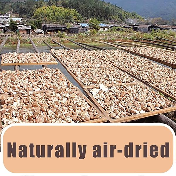 ORGANIC NATURAL DRIED MUSHROOMS – PREMIUM FLAVORS |GRADE EXTRA DRY MUSHROOMS FOR SOUPS, SAUCES, PASTA AND RISOTTO, REHYDRATE QUICKLY, ALL NATURAL & VEGAN | 8 OZ