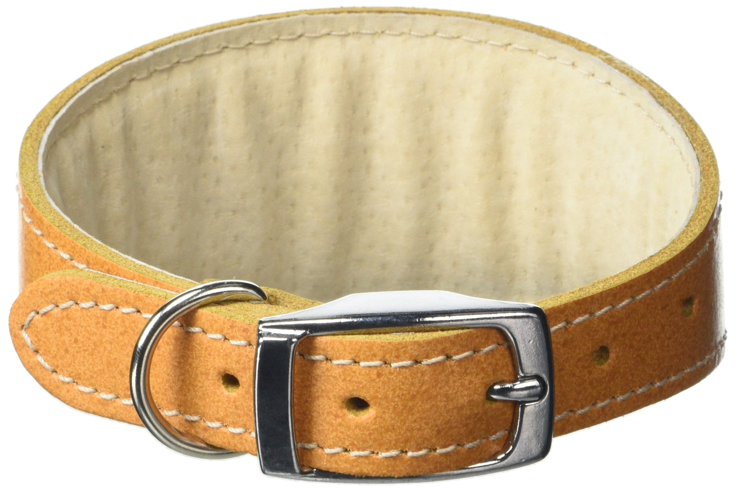 BBD Pet Products Whippet Collar, One Size, 3/4 x 10 to 12-Inch, Tan
