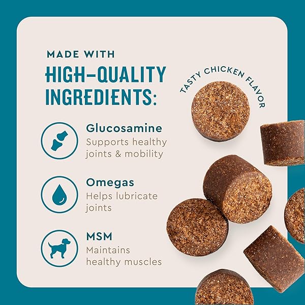 VETIQ GLUCOSAMINE HIP & JOINT SUPPLEMENT FOR DOGS, 180 SOFT CHEWS, DOG JOINT SUPPORT SUPPLEMENT WITH MSM AND KRILL, DOG HEALTH SUPPLIES LARGE & SMALL BREED, CHICKEN FLAVORED CHEWABLES