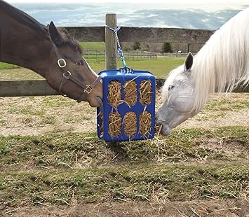 Buy Health Ez Hay Feeder Green Online At Low Prices In India