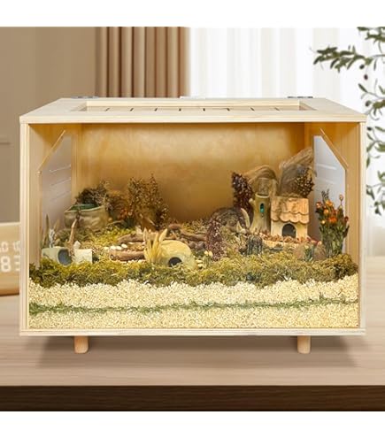 Aquarium Large Hamster Habitat Bucatstate 24 Inch Acrylic With