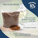 Walter’s Meal Worms (5L) Dried Mealworms for Wild Birds - Walter Products view 5