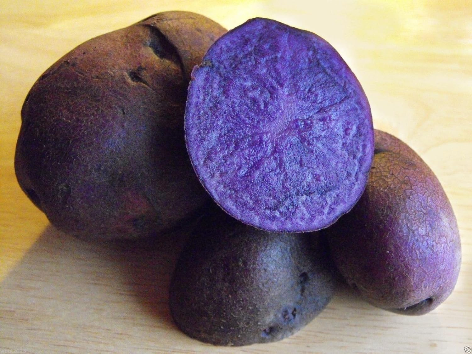 1 Pound Blue Potato Speciality Potato Color Is Retained While Cooking Excellent Yield Amazon In Garden Outdoors