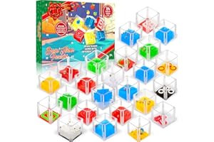 ZAXIDEEL Balance IQ Maze Game Fidget Puzzle Box 24 Pcs for Kids and Adults Brain Teaser Puzzle Cubes for Challenge, Stocking Stuffers for Kids & Party Favor Games, Ideal Prizes Gifts