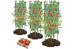 MQHUAYU 3 Pack Tomato Cage,Tomato Cage for Raised Garden Bed, 48'' Tall Tomato Trellis Triangle or Square Cages for Garden,Pots, Plant Cages & Supports（Green, Extra Bold ）