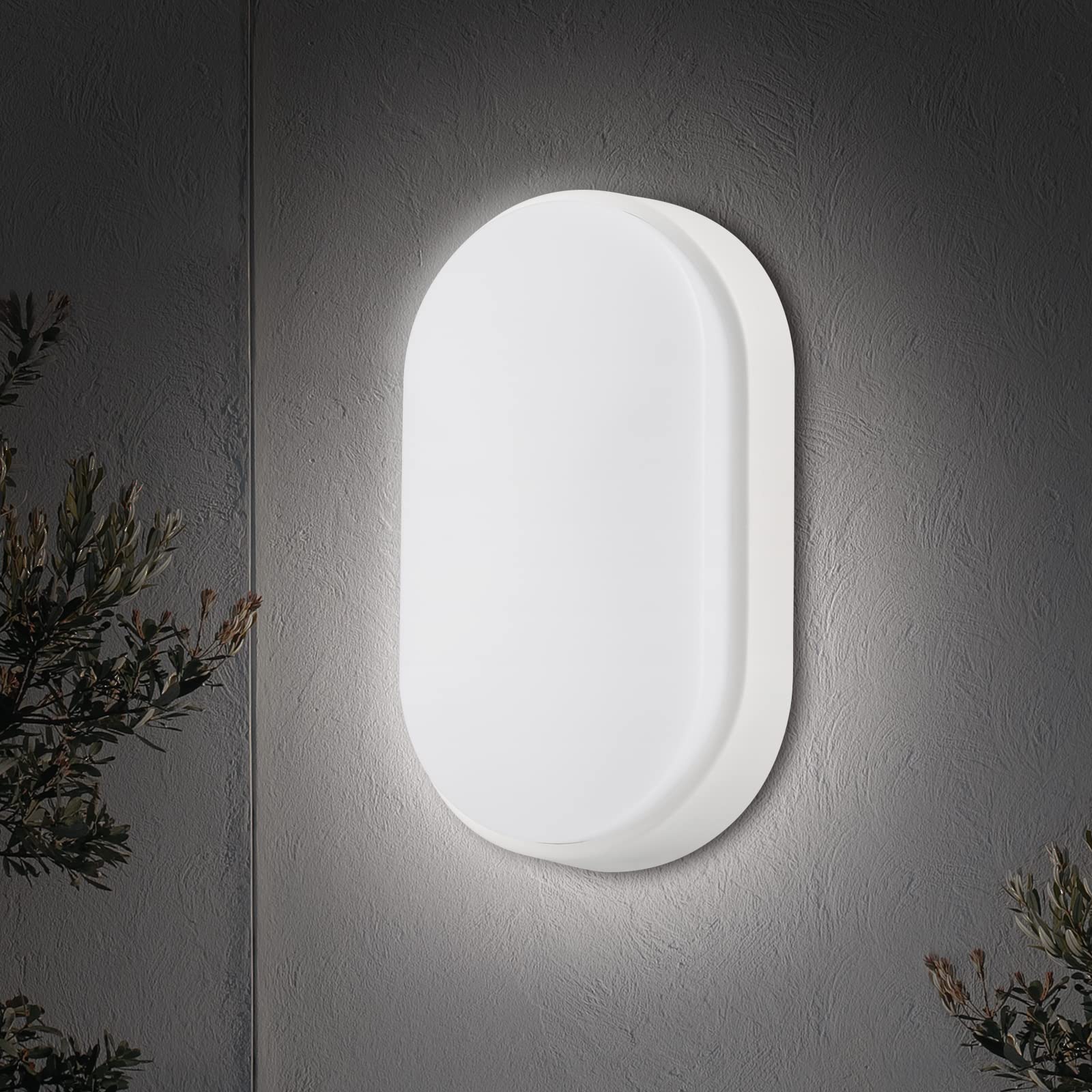 14W LED 4000K IP65 Semi-ellipse Bulkhead Light Fitting with Black Trim - Perfect for Indoor, Outdoor, Bath, Office, Hallway, Corridor, Utility, Garden, Shed, Workshop, Patio etc - 1 Pack