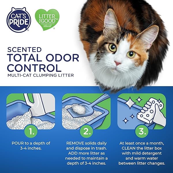 CAT’S PRIDE MAX POWER: TOTAL ODOR CONTROL – UP TO 10 DAYS OF POWERFUL ODOR CONTROL – STRONG CLUMPING – 99% DUST FREE – MULTI-CAT LITTER, SCENTED, 15 POUNDS