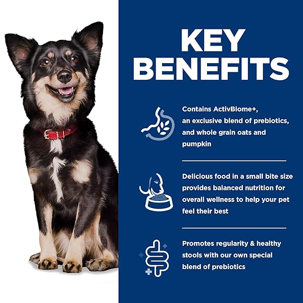 HILL’S SCIENCE DIET PERFECT DIGESTION, ADULT 1-6, DIGESTIVE SUPPORT, SMALL KIBBLE, DRY DOG FOOD, CHICKEN, BROWN RICE, & WHOLE OATS, 3.5 LB BAG
