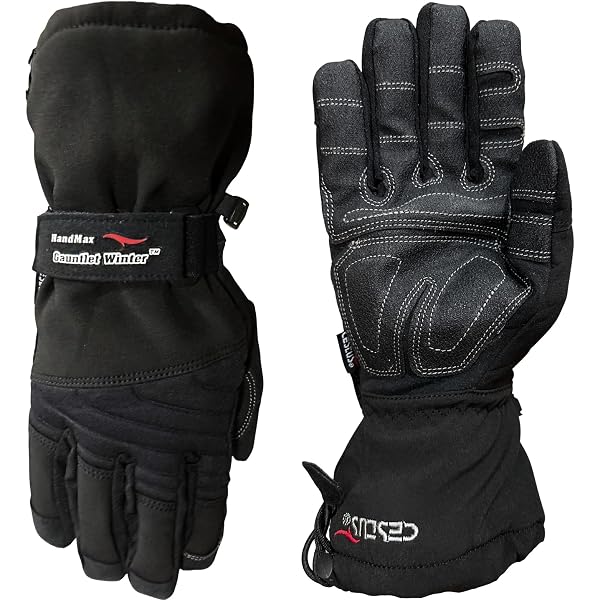Amazon.com : Hestra Gore-Tex Pro 5-Finger Glove for Cold Weather