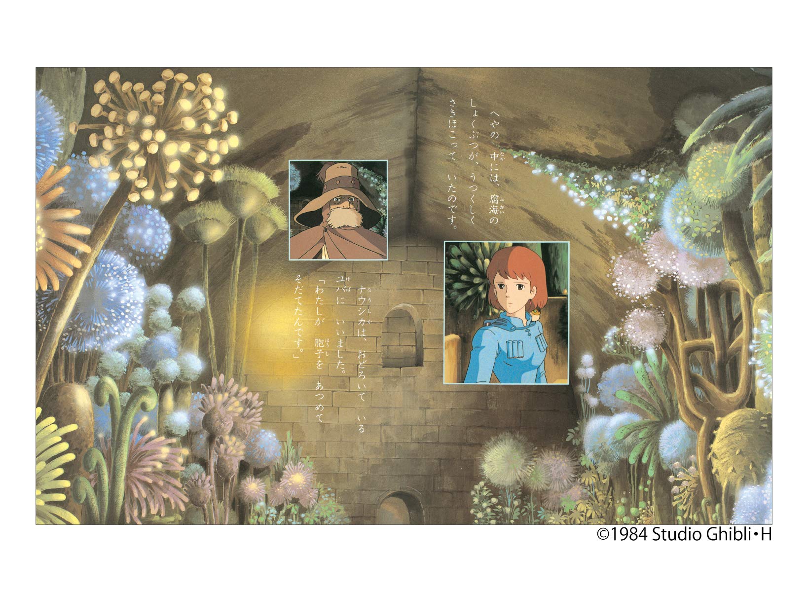 風の谷のナウシカ 上 徳間アニメ絵本1 宮崎 駿 本 通販 Amazon