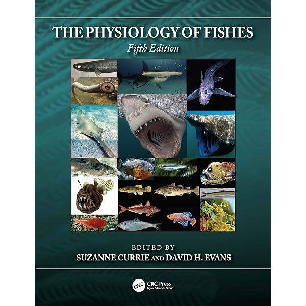洋書 The toxicology of fishes The Toxicology of Fishes: Di Giulio, Richard T., Hinton, David E