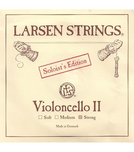 Amazon.com: Thomastik-Infeld Spirocore Cello C String, 4/4 Size