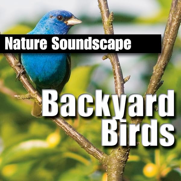 50 Bird Species And The Sounds They Make