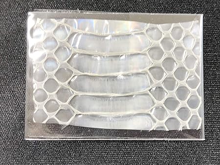 Amazon Co Jp 白蛇 腹 抜け殻 ご利益 １個 お守り 縁起物 財布 金運アップ 開運 風水 白ヘビ 白へび 蛇 抜殻 縁起物 本物 脱殻 商売繁盛 厄除け 財運 おもちゃ