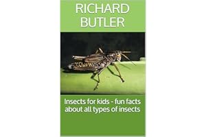 Insects for kids - fun facts about all types of insects: Fun Animal Facts (Fun animal facts about.. Book 1)