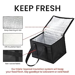 Small Insulated Cooler Bag and Food Warmer for