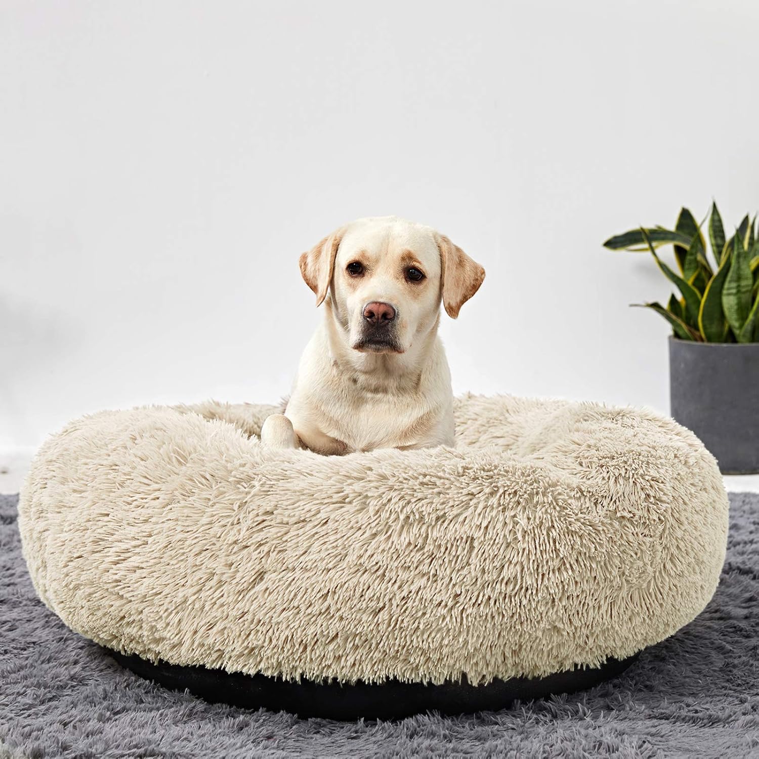 30 inch round dog bed