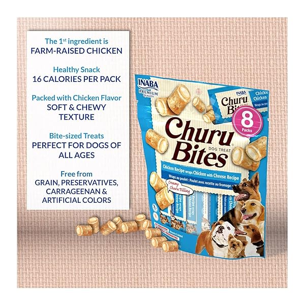 FRUITABLES BAKED DOG TREATS, HEALTHY PUMPKIN TREAT FOR DOGS, LOW CALORIE & DELICIOUS, NO WHEAT, CORN OR SOY, MADE IN THE USA, PUMPKIN AND BLUEBERRY FLAVOR, 12OZ
