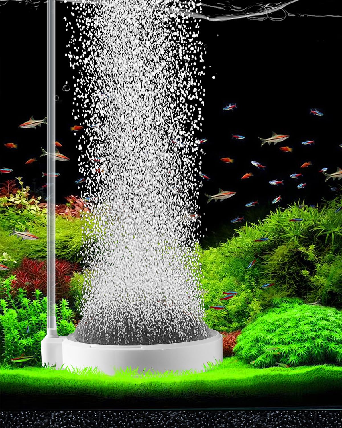 BLOTFISH Air Stone for Aquarium Fish Tank Bubbler, 3.2 Inch Nano Air Bubble Stone Aerator Accessories Bubbler for Fish Tank Air Pump Hydroponics