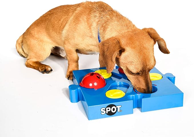 seek a treat dog puzzle