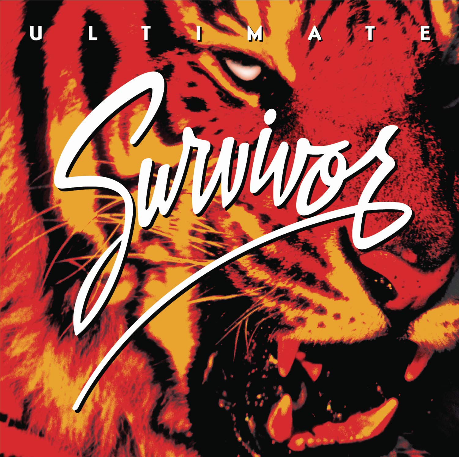Survivor Ultimate Survivor Amazon Com Music